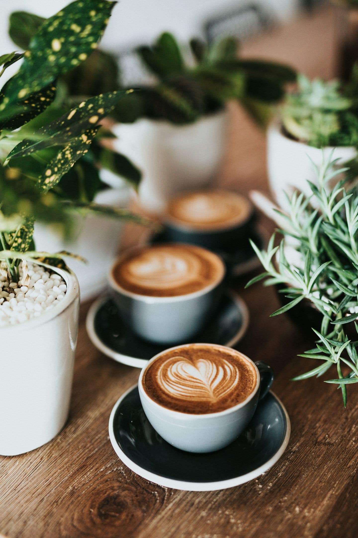 Latte art in a porcelain cup