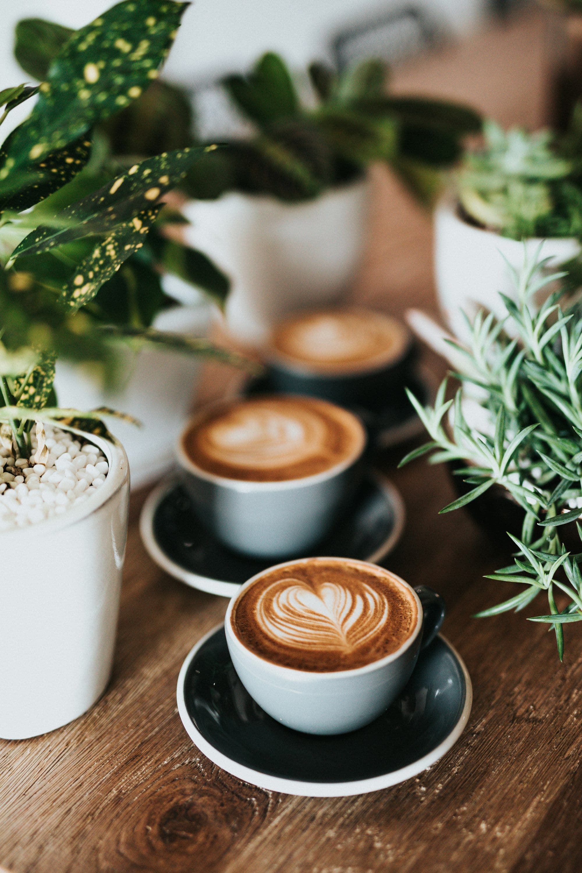 Latte art in a porcelain cup