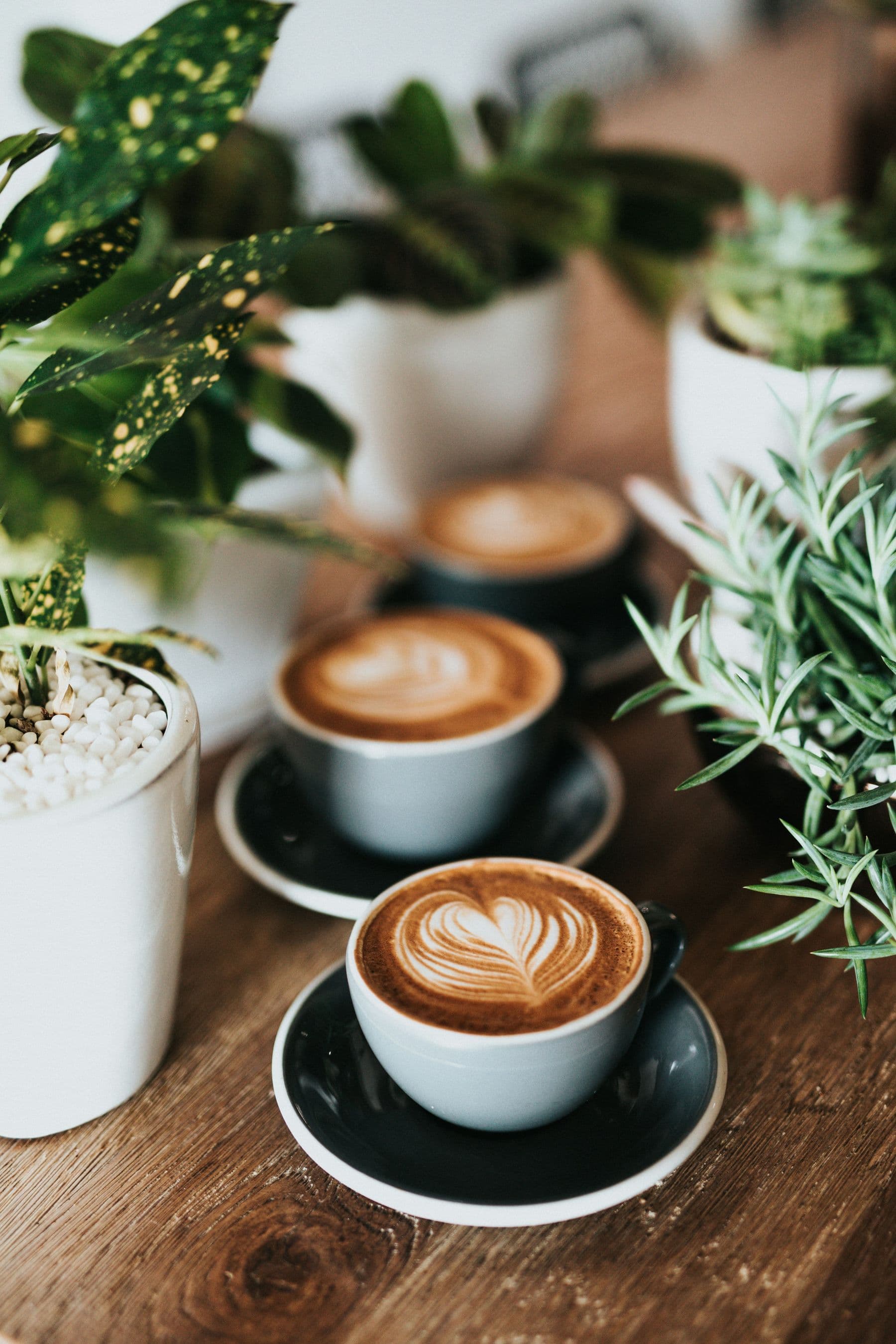 Latte art in a porcelain cup