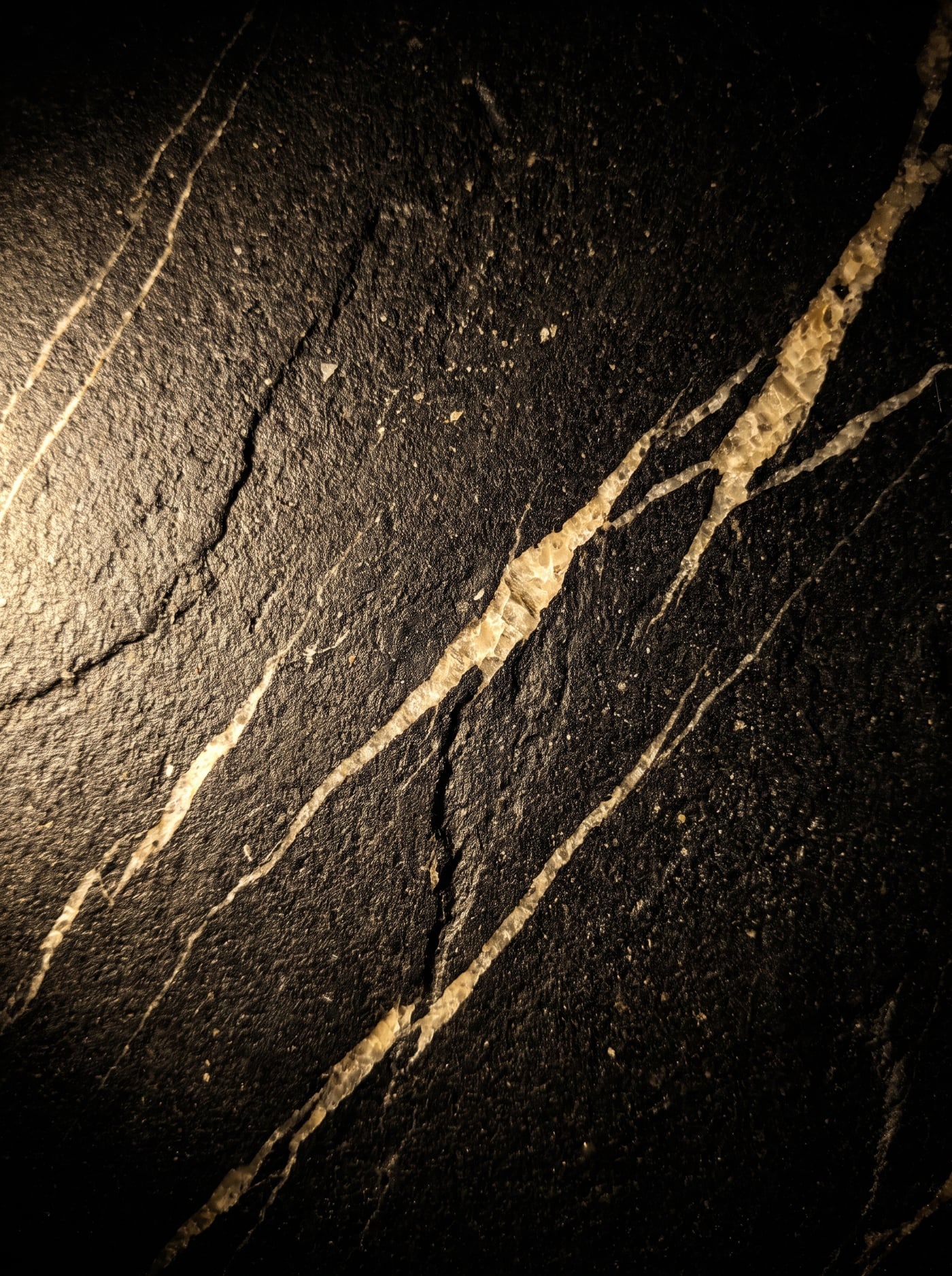 Macro study of dark marble with pale gold veining