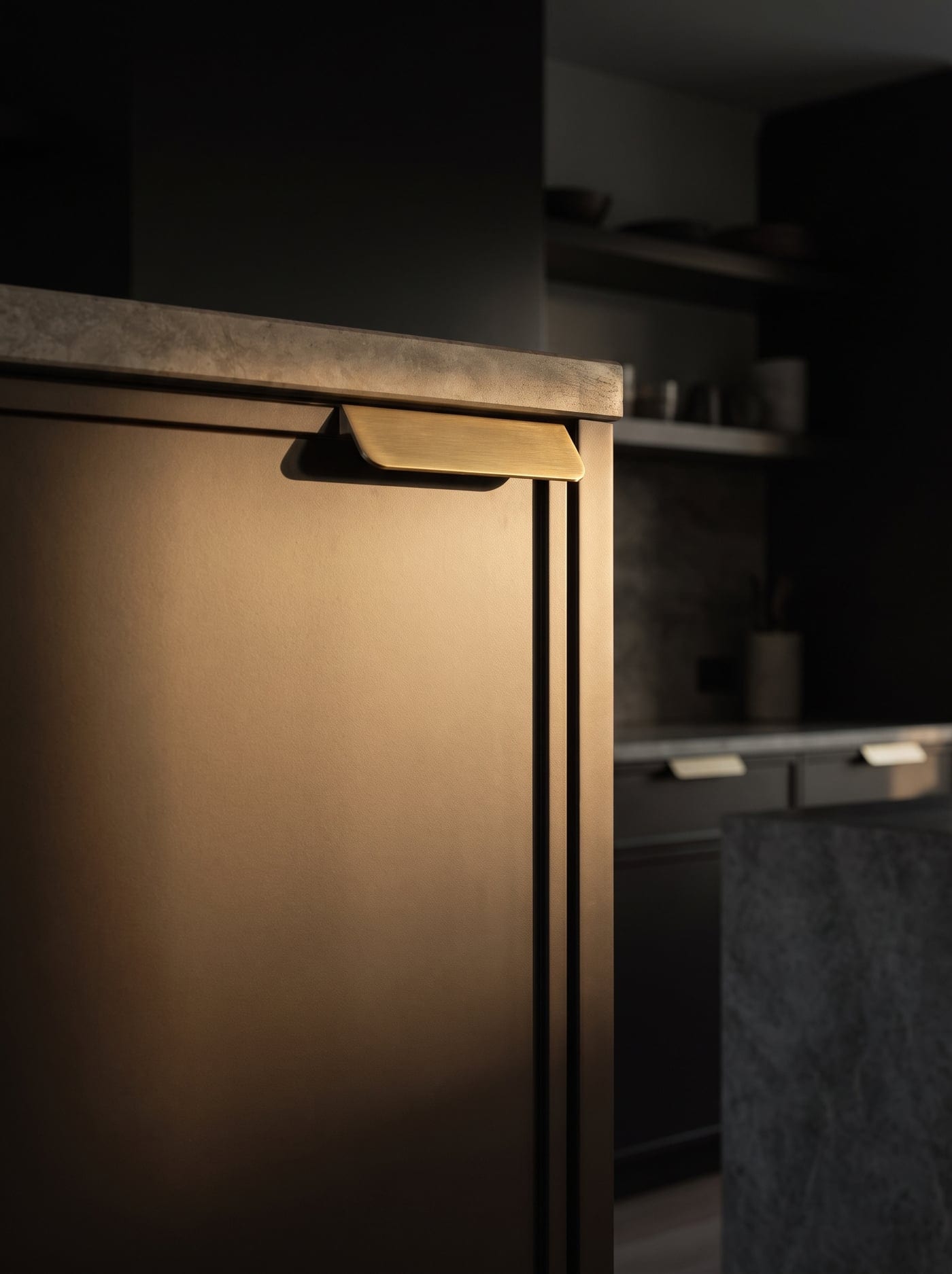 Deep espresso super-matte cabinet door with brushed brass edge pull